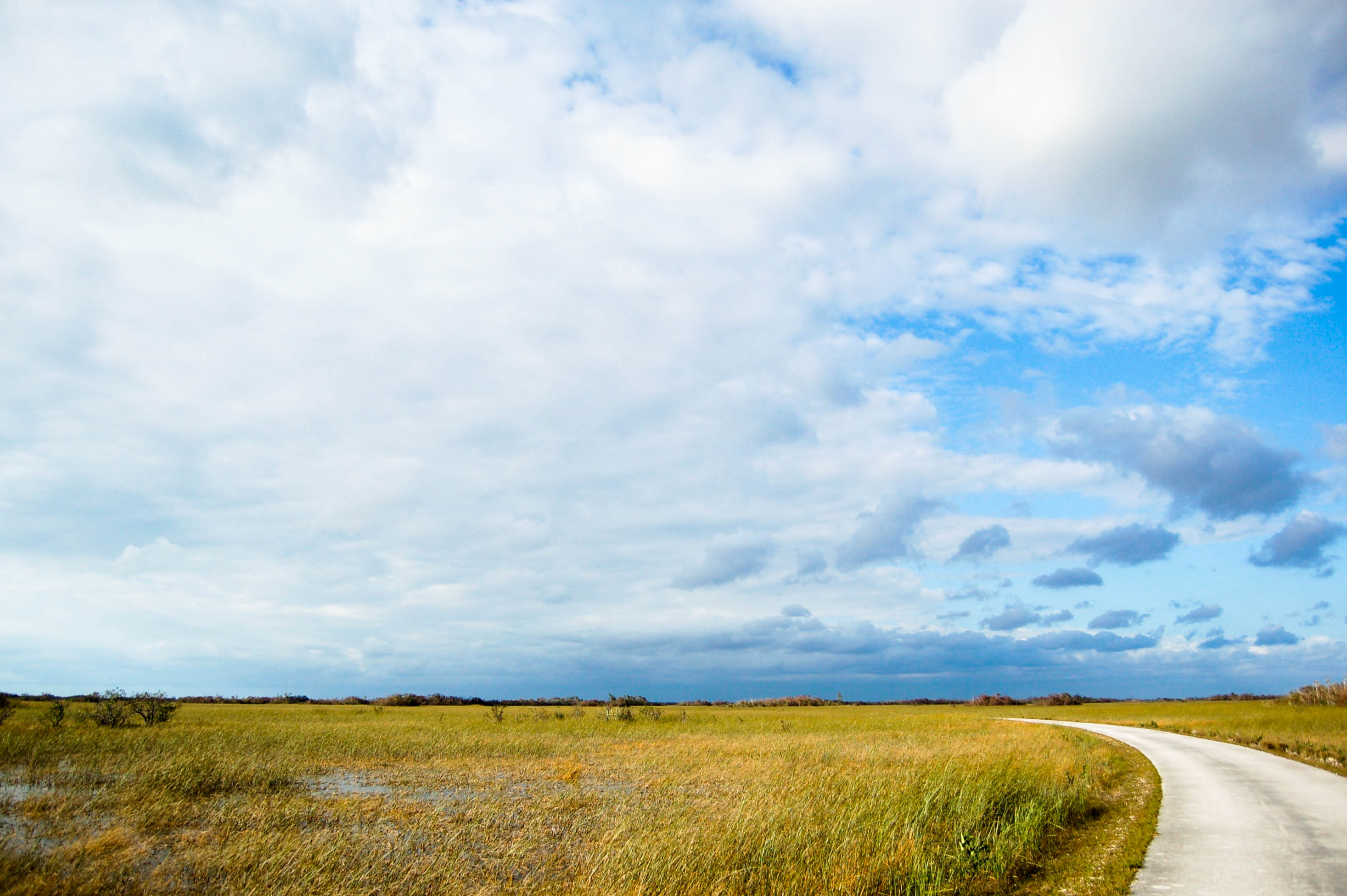 Everglades