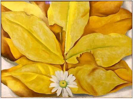 Magnolia 1