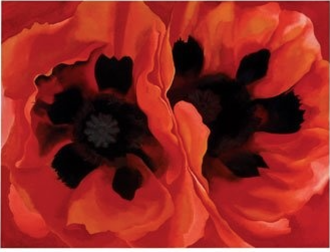 Okeeffe Poppies